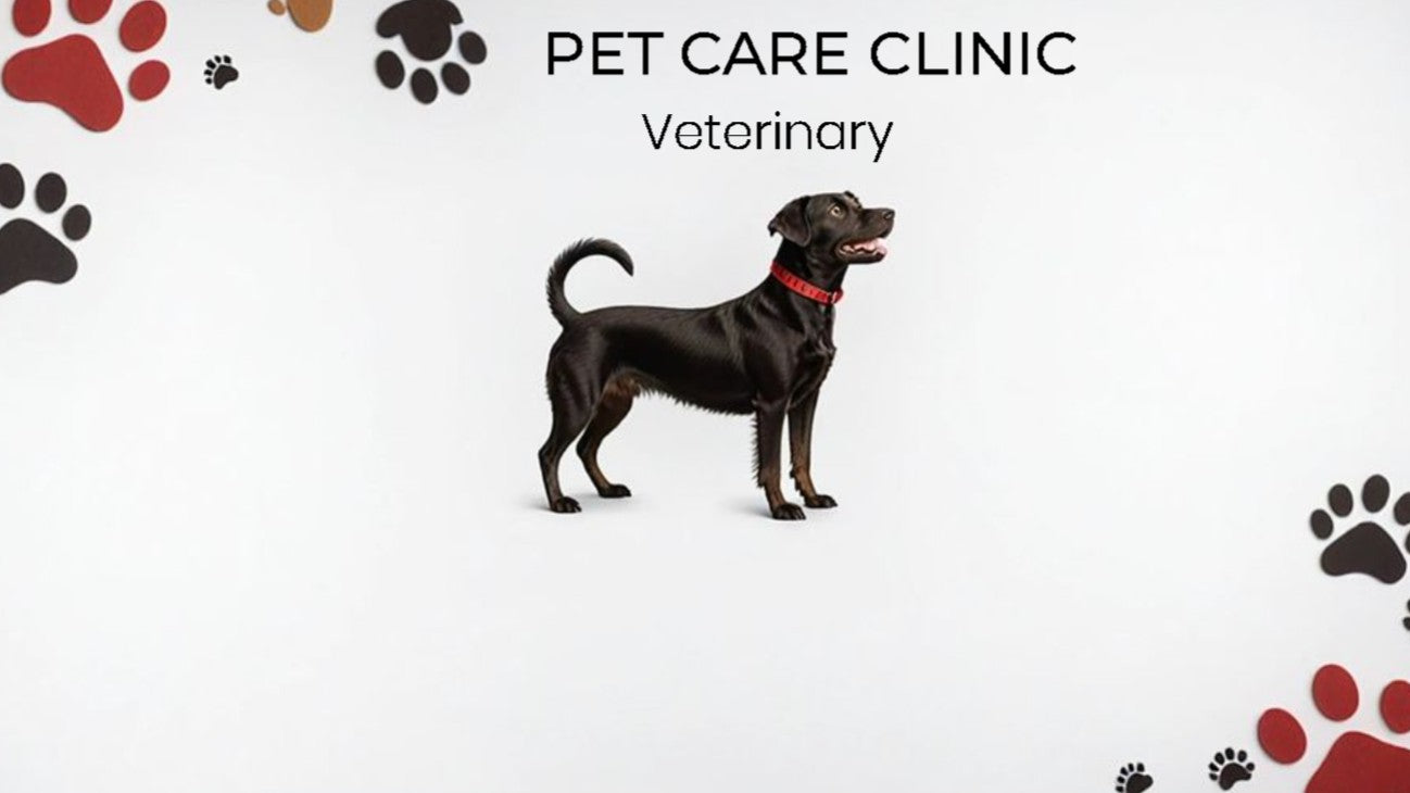 <img src=”Animals-and-Pet-Care-by-Minuteman-Press-Aldine-011-Front” alt=”Animals & Pet Care”>