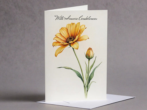 <img src=”Bereavement-Cards-Printing-Minuteman-Press-Aldine-459” alt=”Sympathy Cards”>