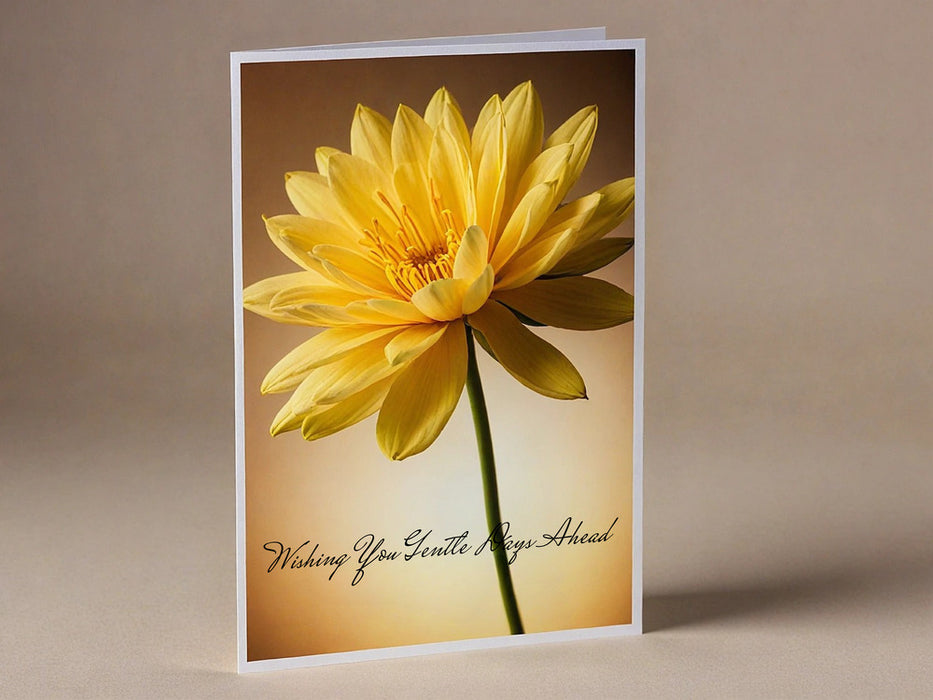 <img src=”Sympathy-Greeting-Cards-Minuteman-Press-Aldine-587” alt=”Sympathy Cards”>